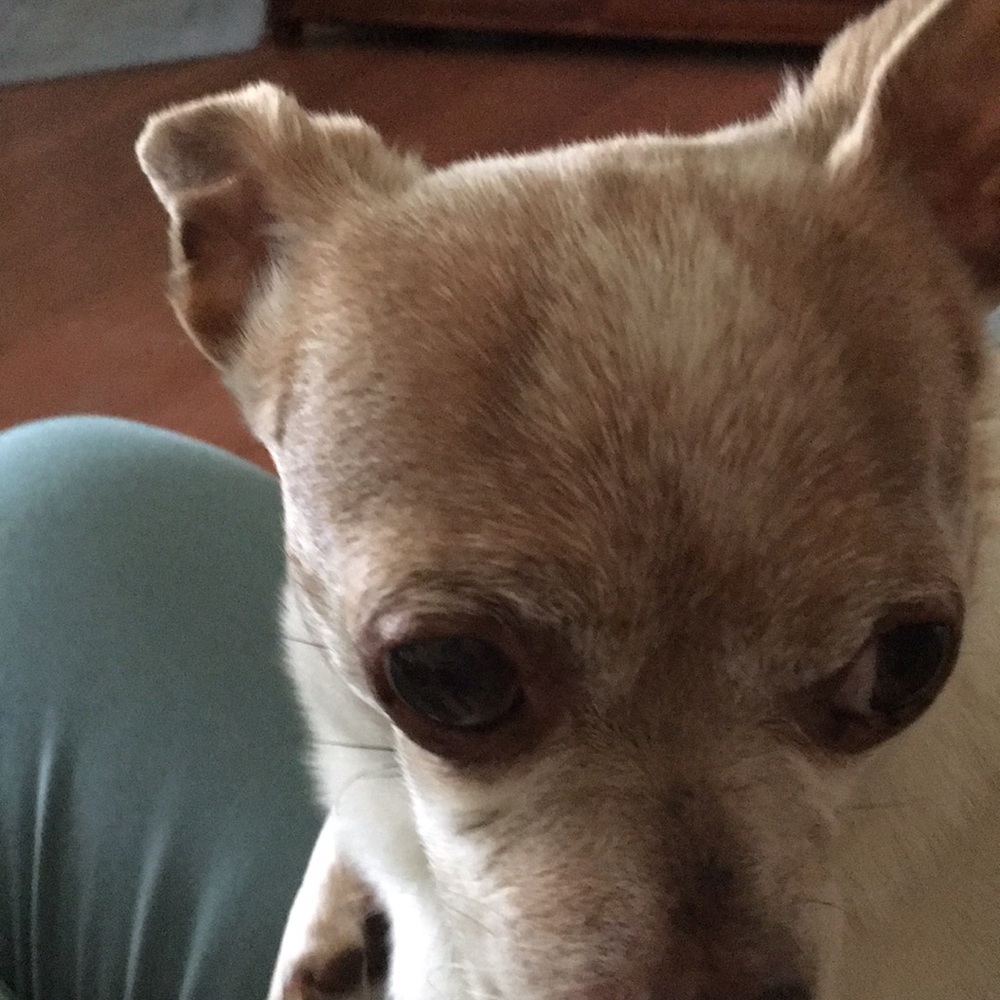 Meet your Posher, Maura